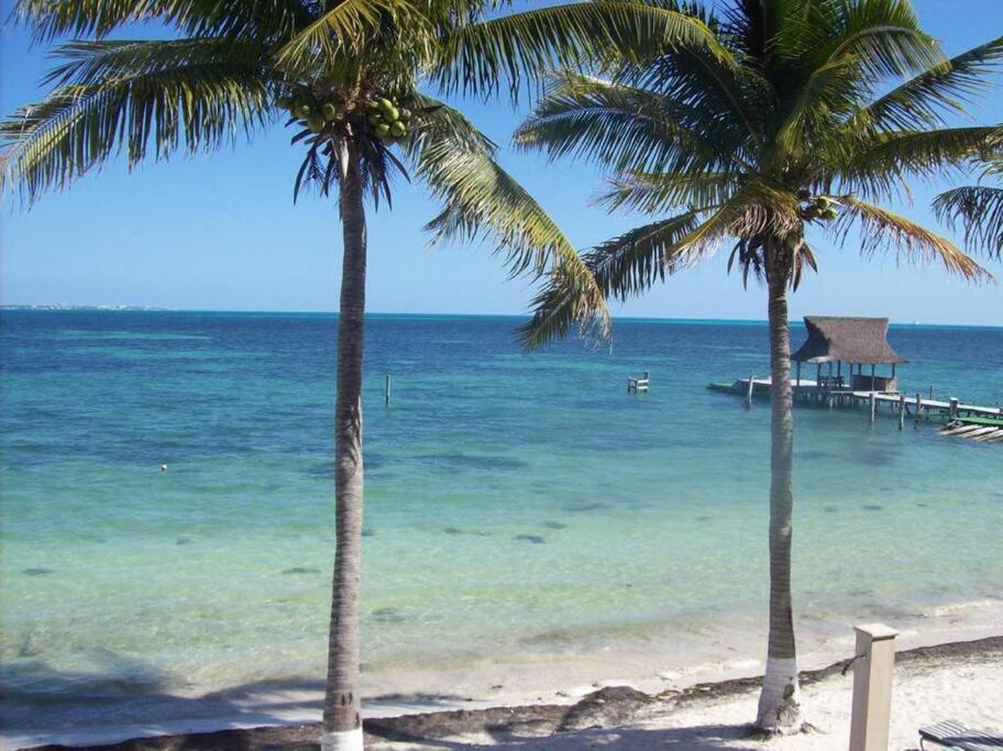 A La Orilla Del Mar Puerto Juarez Apartment Cancún